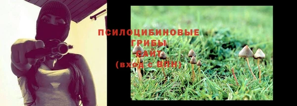 твердый Горно-Алтайск