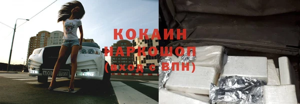 прущие грибы Строитель