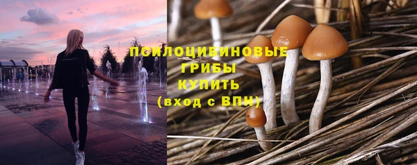 прущие грибы Строитель