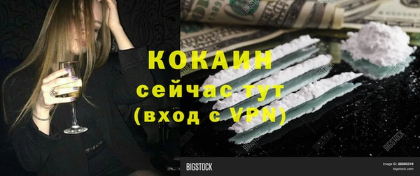 ПСИЛОЦИБИНОВЫЕ ГРИБЫ Вяземский